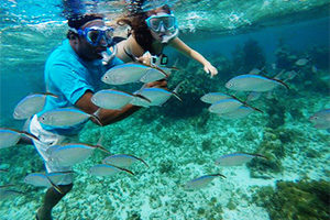 snorkeling guide hikkaduwa