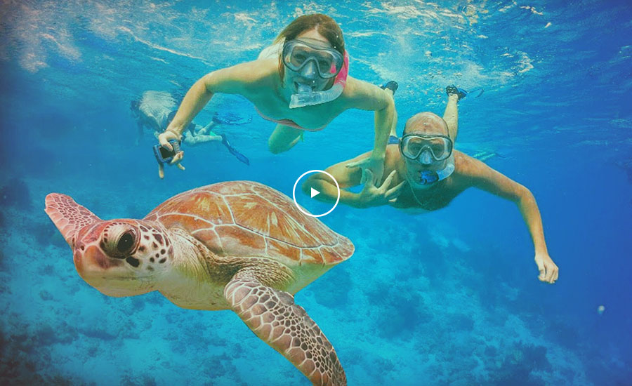 snorkelingvideobk snorkelingvideobk